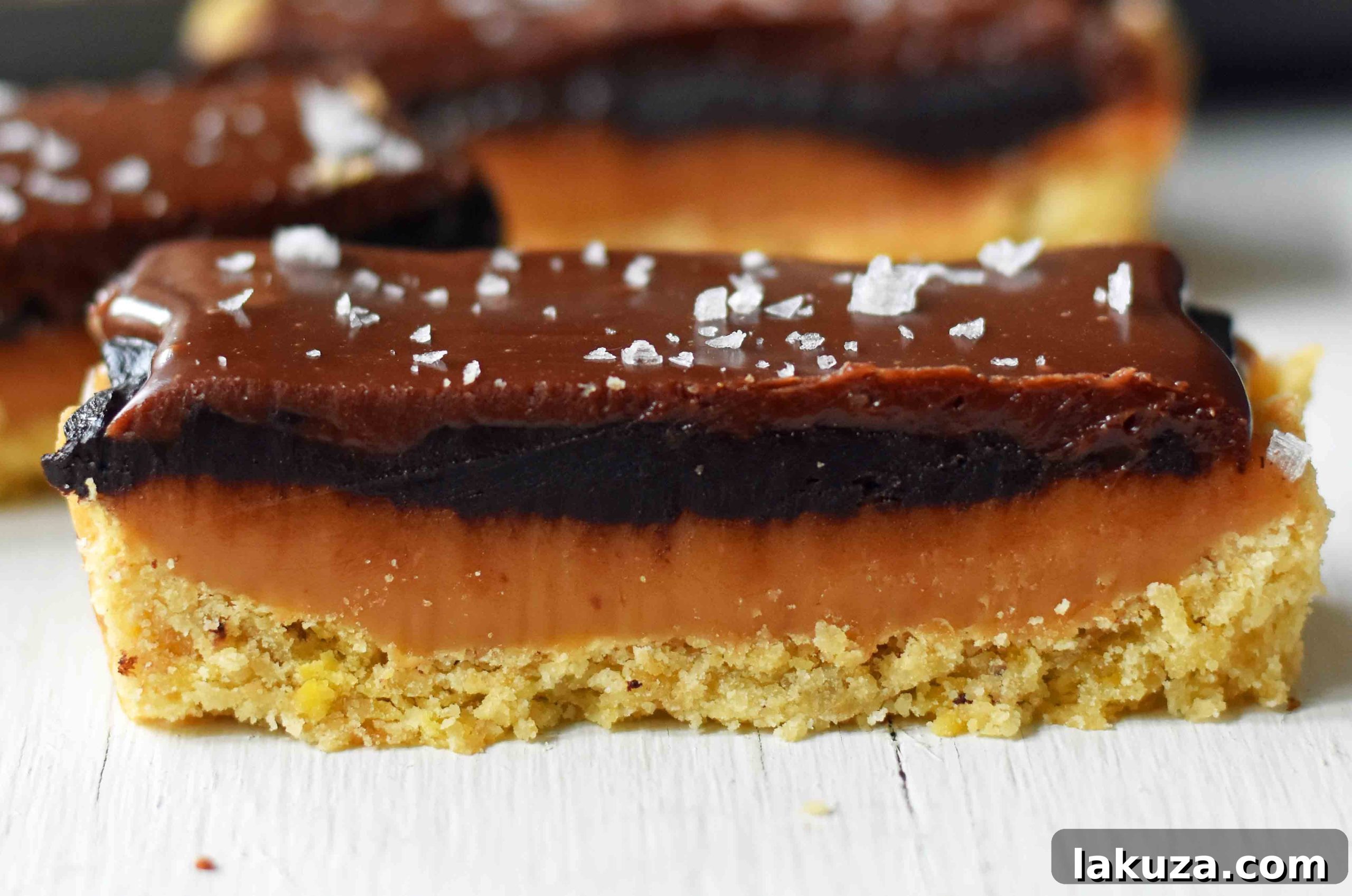 Decadent Chocolate Caramel Bars 4 Chocolate Caramel Slice 7