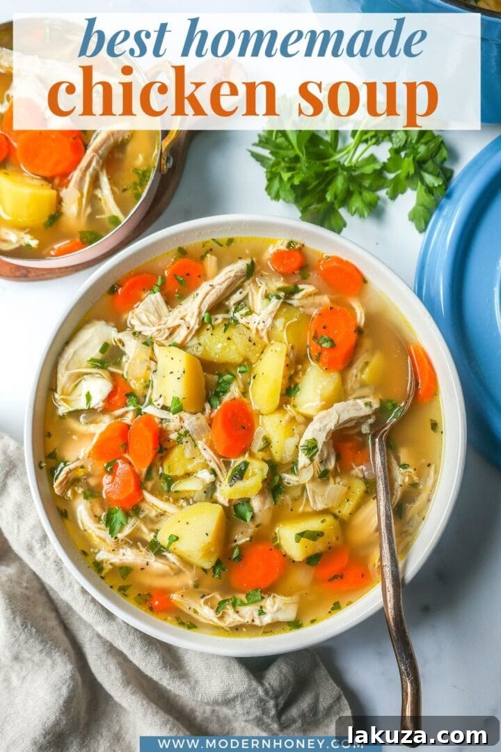 A vibrant bowl of homemade chicken and vegetable soup, garnished with fresh herbs, symbolizing a comforting and healthy meal.