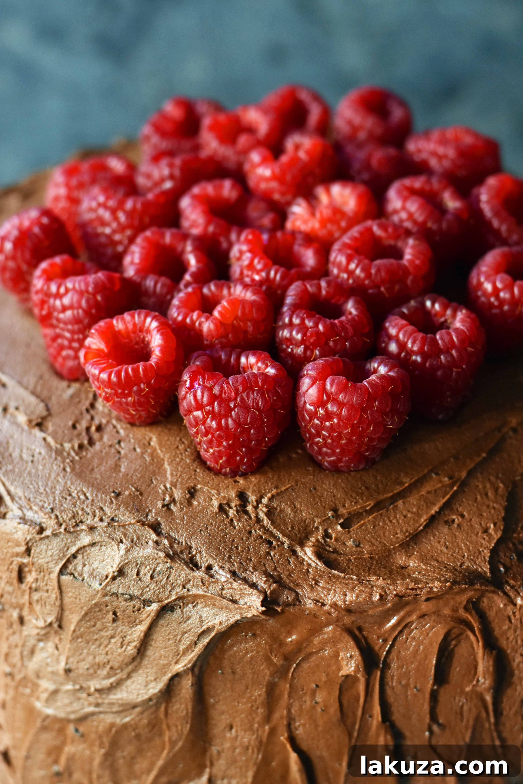Decadent Chocolate Raspberry Delight 8 A decadent two-layer Chocolate Raspberry Cake topped with fresh raspberries and chocolate curls.