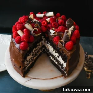 Decadent Chocolate Raspberry Delight 10 The Ultimate Chocolate Raspberry Cake: Layers of rich chocolate cake, creamy raspberry filling, chocolate buttercream, and fresh raspberries.