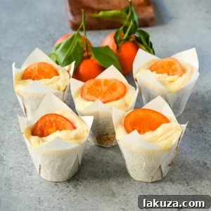 Sun-Kissed Orange Olive Oil Delights 8 These moist orange olive oil cupcakes made with olive oil are light, tender, and bursting with fresh orange flavor. Sour cream adds richness while olive oil ensures a soft crumb. Finished with orange cream cheese frosting, these are the best orange cupcake recipe.