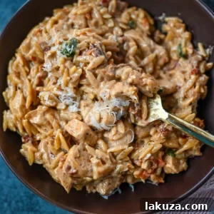 This Marry Me Chicken Orzo is a creamy, one-pan dinner made with tender chicken, sun-dried tomatoes, parmesan, and perfectly cooked orzo pasta. Inspired by the viral “marry me chicken” recipe, this version adds orzo to soak up the rich garlic cream sauce for an easy comfort meal. 