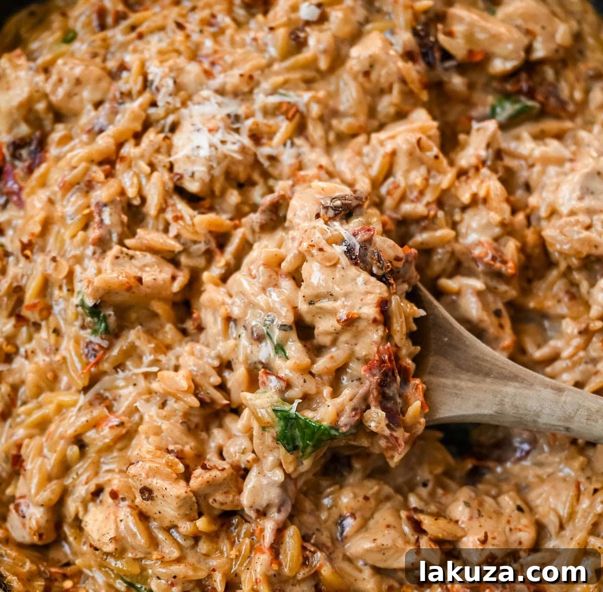 This Marry Me Chicken Orzo is a creamy, one-pan dinner made with tender chicken, sun-dried tomatoes, parmesan, and perfectly cooked orzo pasta. Inspired by the viral “marry me chicken” recipe, this version adds orzo to soak up the rich garlic cream sauce for an easy comfort meal. 