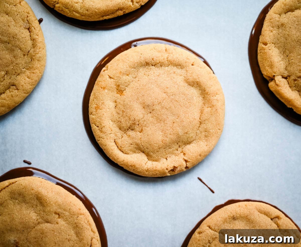 Ultimate Chocolate Peanut Butter Cookies 6 Step-by-step guide to making the best chocolate bottom peanut butter cookies, from perfect dough to setting the smooth chocolate base.