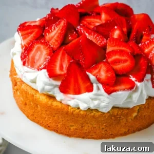 Fresh Strawberry Shortcake Delight 11 This Strawberry Shortcake Cake is a soft, buttery vanilla cake layered with fluffy homemade whipped cream and juicy strawberries. It’s the perfect spring and summer dessert that tastes like a classic strawberry shortcake but in an easy-to-slice cake form.