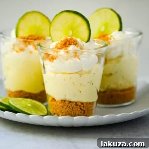 Mini Key Lime Pie Jars Recipe — No-Bake Individual Desserts 11 These key lime pie jars are a fresh, creamy twist on the classic key lime pie, made with layers of buttery graham cracker crust, tangy key lime filling, and fluffy whipped cream. Served in individual jars, they are perfect for entertaining or grab-and-go desserts.