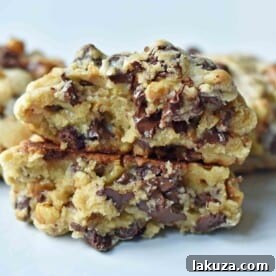 Ultimate Guide to Chocolate Chip Cookie Recipes: Every Style Covered 11 Levain Bakery Famous Chocolate Chip Cookies