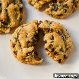 Ultimate Guide to Chocolate Chip Cookie Recipes: Every Style Covered 13 DoubleTree Hotel chocolate chip cookie recipe