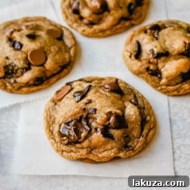 Ultimate Guide to Chocolate Chip Cookie Recipes: Every Style Covered 15 Perfect Chocolate Chip Cookies