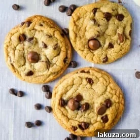 Ultimate Guide to Chocolate Chip Cookie Recipes: Every Style Covered 19 One Bowl Chocolate Chip Cookie Recipe