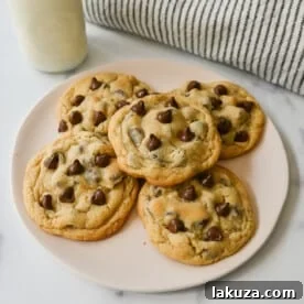 Ultimate Guide to Chocolate Chip Cookie Recipes: Every Style Covered 22 Nestle Toll House Cookie Recipe