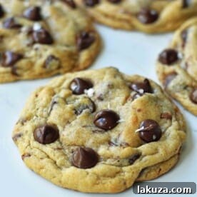 Ultimate Guide to Chocolate Chip Cookie Recipes: Every Style Covered 25 Charmina's Chocolate Chip Cookies