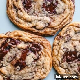 Ultimate Guide to Chocolate Chip Cookie Recipes: Every Style Covered 26 Pan Banging Chocolate Chip Cookies