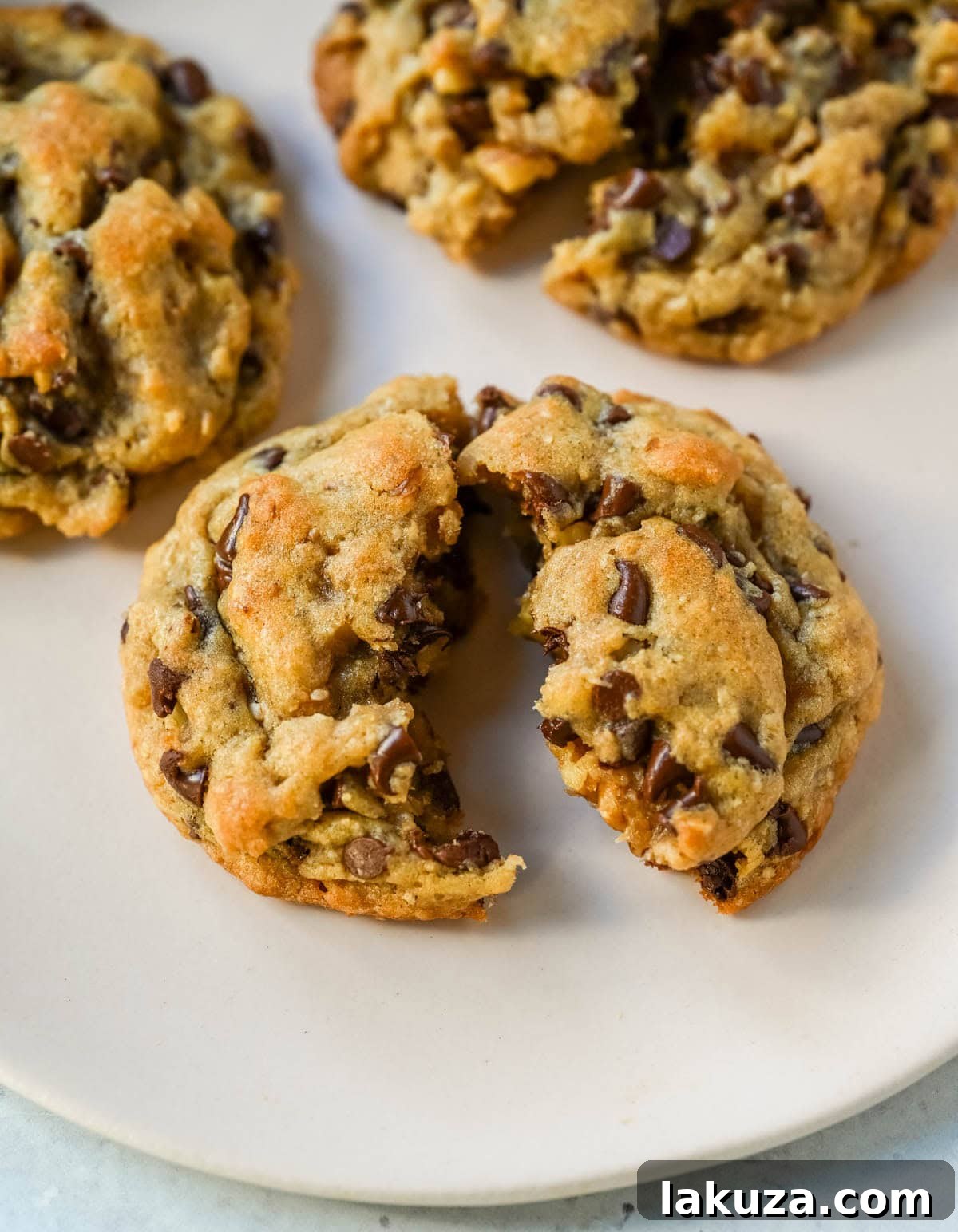 Ultimate Guide to Chocolate Chip Cookie Recipes: Every Style Covered 5 The famous DoubleTree Hotel chocolate chip cookie recipe is officially out — and it's even better homemade. These oversized, chewy, warm cookies are loaded with mini chocolate chips, ground oats for the most incredible texture, and a surprise ingredient. These Doubletree Hotel copycat chocolate chip cookies are the perfect chocolate chip cookie recipe.