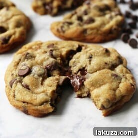 Ultimate Guide to Chocolate Chip Cookie Recipes: Every Style Covered 9 The BEST Chocolate Chip Cookie Recipe