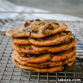 Ultimate Guide to Chocolate Chip Cookie Recipes: Every Style Covered 10 Thin and Chewy Chocolate Chip Cookies