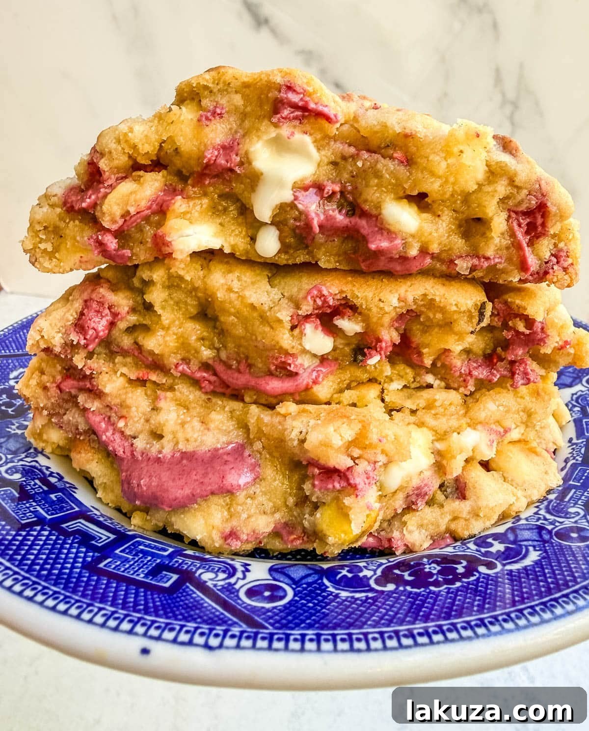 Raspberry chocolate disks