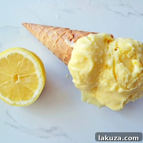 Jeni's Sweet Cream Ice Cream Recipe 10 Pucker Up Buttercup Lemon Ice Cream