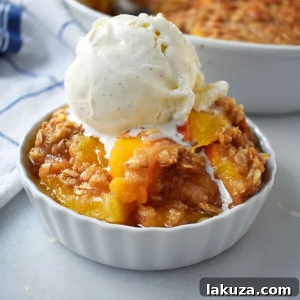 Classic Blackberry Crisp Recipe with Oat Streusel 14 Nectarine Brown Sugar Crisp