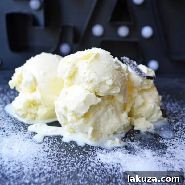Homemade Vanilla Bean Ice Cream
