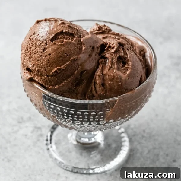 Homemade Chocolate Ice Cream