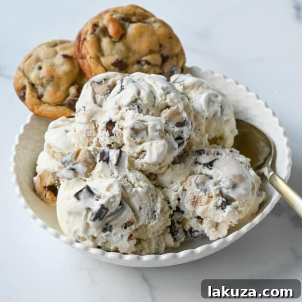Chocolate Chip Cookie Dough Ice Cream