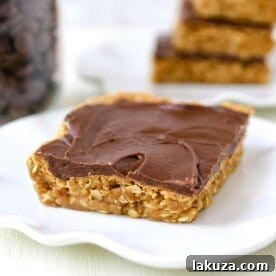 35+ Dessert Bar Recipes: Brownies, Blondies, Lemon Bars 16 Chocolate Peanut Butter Cookie Bars