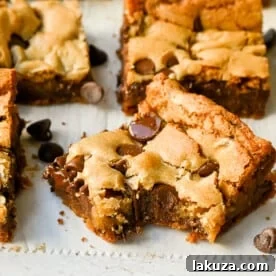 35+ Dessert Bar Recipes: Brownies, Blondies, Lemon Bars 3 Chocolate Chip Blondies
