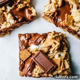 35+ Dessert Bar Recipes: Brownies, Blondies, Lemon Bars 27 S’mores Chocolate Marshmallow Rice Krispies Treats