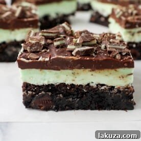 35+ Dessert Bar Recipes: Brownies, Blondies, Lemon Bars 38 Mint Chocolate Brownies