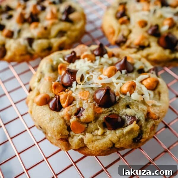 Soft and Chewy Butterscotch Chocolate Chip Cookies 8 The popular 7-layer bar made into a cookie—chewy with crisp edges and butterscotch chips, chocolate chips, coconut, and pecans.