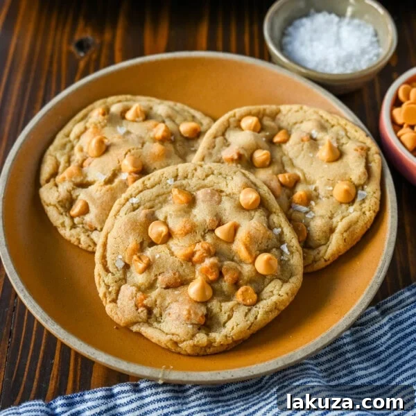 Soft and Chewy Butterscotch Chocolate Chip Cookies 10 Soft butterscotch chip cookies with crisp edges and chewy centers.